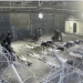 Sde Teiman prison