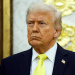 trump diddy