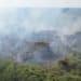 Amazon rainforest burning.