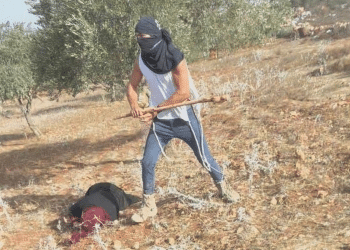 Israeli settlers