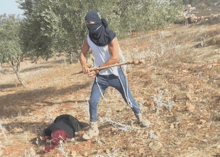 Israeli settlers