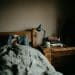 London’s Bed Bug Crisis: A Growing Public Health Issue Demands Safer Solutions