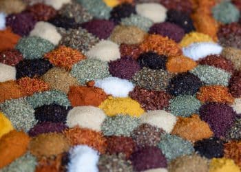 The bioactive wave: How the food ingredient supplier is driving a new era of nutrition