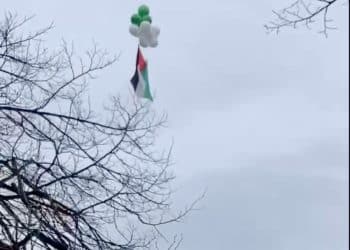 Belfast Palestine