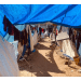 Rows of tents house Palestinian survivors in Gaza