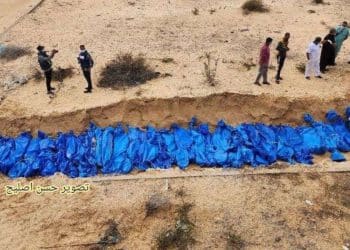 Gaza organ theft