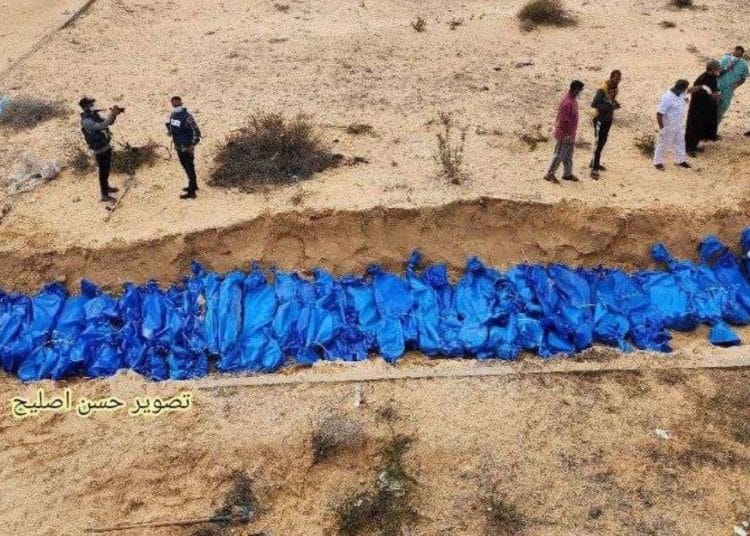 Gaza organ theft