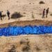 Gaza organ theft