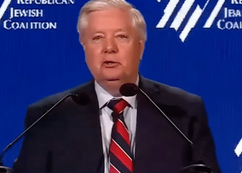 lindsey graham