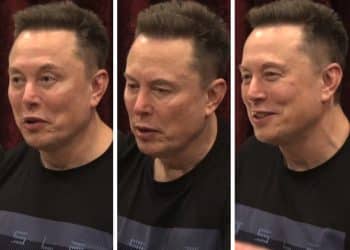 Confused Elon Musk thinks invading hordes are ravaging UK ‘hobbits’