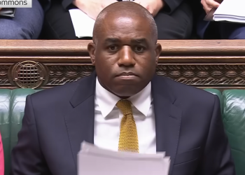 david lammy
