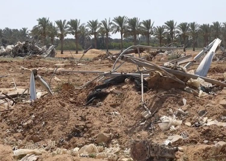 UN Gaza agriculture