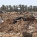UN Gaza agriculture