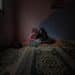Gaza mental health