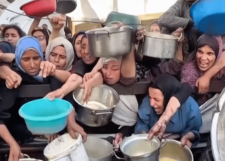 Gaza crisis