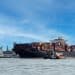 How Sealogic Digital Solutions Simplify Crew Management