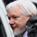 Assange