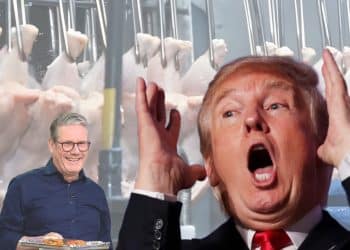 Donald Trump, Keir Starmer, and chlorinated chicken