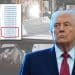 Donald Trump, an image from the Epstein links, and a list of redacted files
