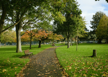 Dublin park