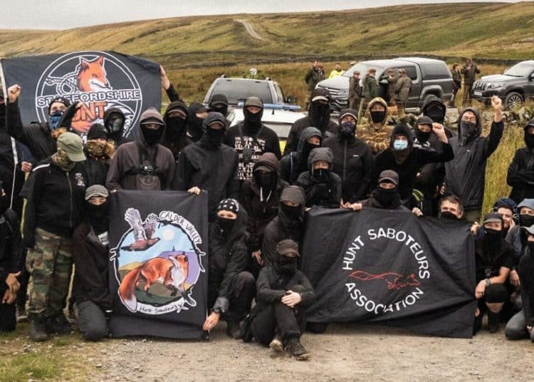 Hunt sabs