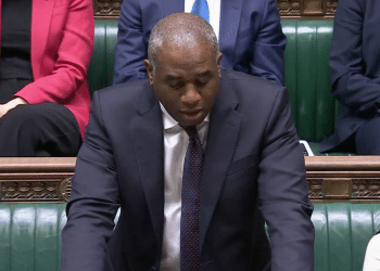David Lammy