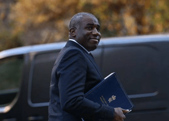 david lammy