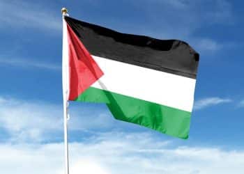 Stock image of a Palestine flag on flagpole against blue sky. The DUP ignited the flames and then claimed to have helped extinguish them.