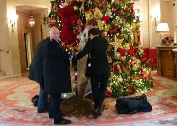 A pile of manure dumped in front of a Christmas tree in inequality protest at Ritz