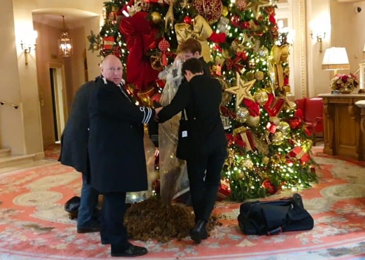 A pile of manure dumped in front of a Christmas tree in inequality protest at Ritz