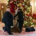 A pile of manure dumped in front of a Christmas tree in inequality protest at Ritz