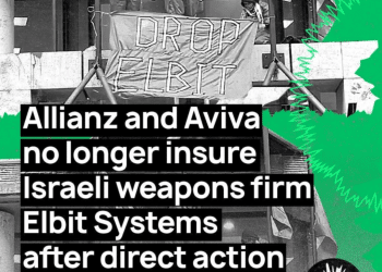 Allianz and Aviva drop Elbit Systems