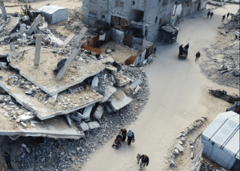 The Canary annual round-up of Gaza