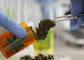 Medical cannabis