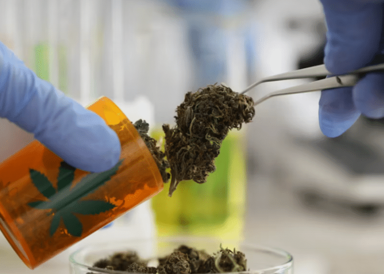 Medical cannabis