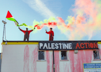 Palestine Action crackdown terrorists