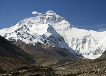 Wildlife on the Everest Base Camp Trek: What Animals You Might Spot