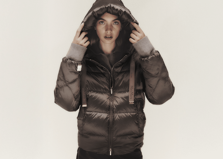 Image source Max Mara https://es.maxmara.com/p-9481086406044-mtcsoftfe-avellana