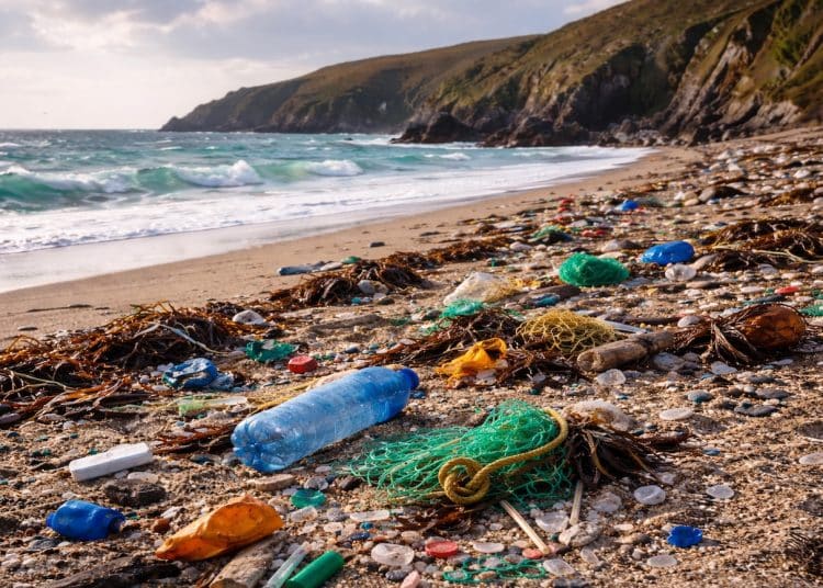 Plastic Pollution Cornwall