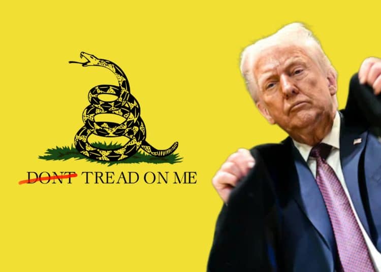 Republicans