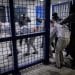 Israeli prisons