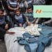 Namecheap Gaza