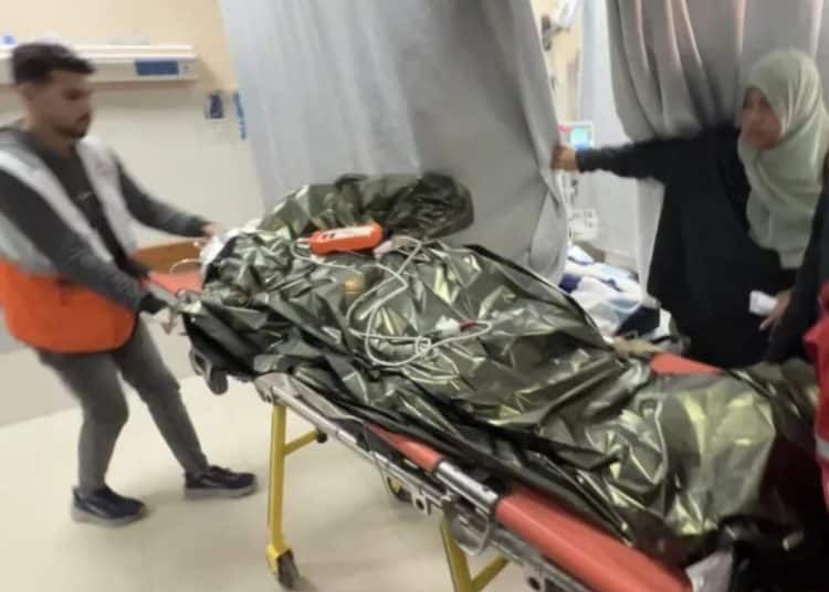 Israel violates ceasefire