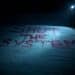 Shut The System written in red on a ski slope in Davos