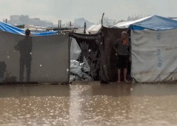 Cruel winter claims more lives in Gaza