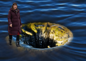 Reeves steps into the abyss