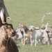 A pack of beagles and the hunt with a hare in front of it and the Hunt Sabs Association logo.