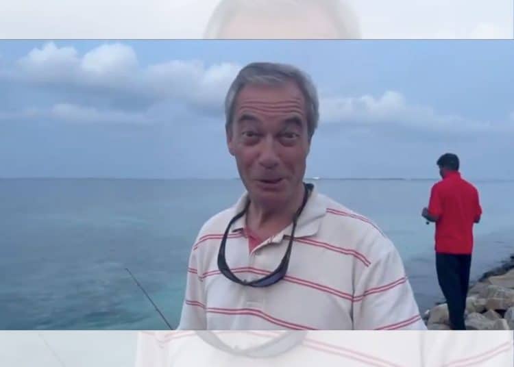 Nigel Farage in front of the sea
