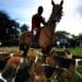 Illustrative image of fox hunt showing huntsman on horse surrounded by hounds