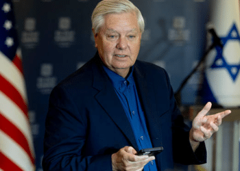 lindsey graham